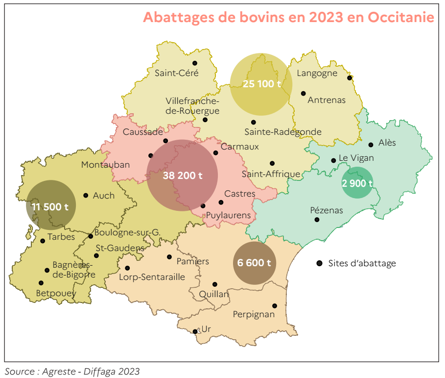 Abattages de bovins en 2023 en Occitanie