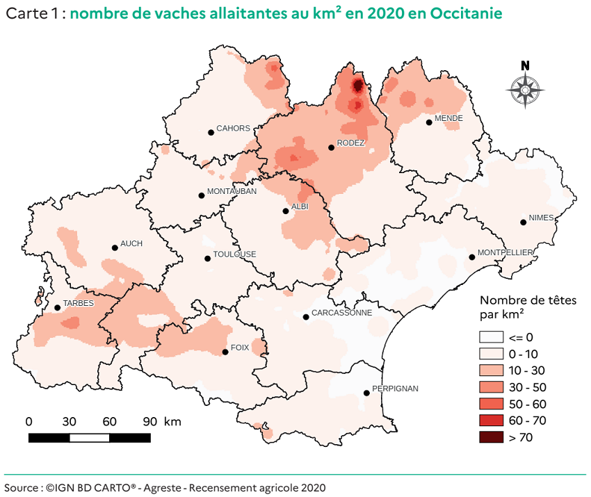 Carte 1 : nombre de vaches allaitantes au km² en 2020 en Occitanie