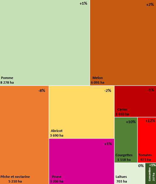 Figure 16- Surfaces (ha) des principaux fruits et légumes suivis en conjoncture en Occitanie en 2025 et évolution (%) par rapport à 2024 - voir la transcription ci-dessous
