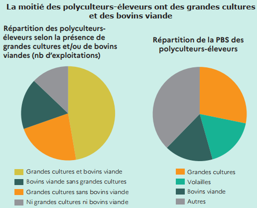 Figure polyculteurs-éleveurs