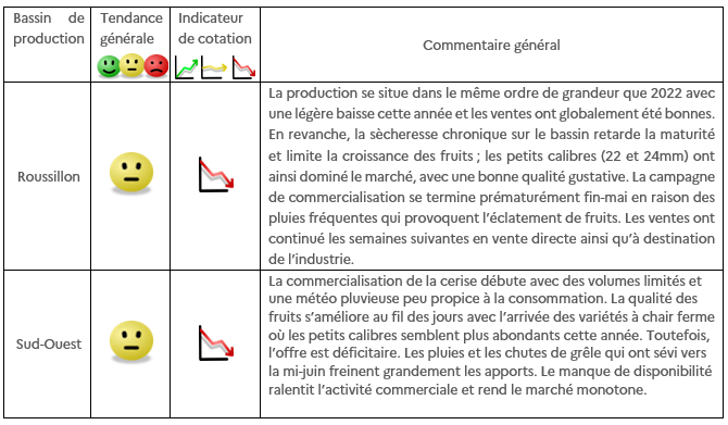 Récolte de 2023 : la production de cerise revue à la baisse