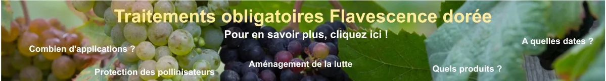  Dermatose nodulaire contagieuse bovine