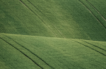 Vignette Image 7 : Zoom