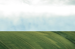 Vignette Image 1 : Horizon