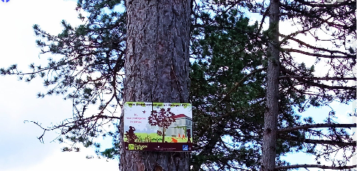 Image 1 : affiche sur un arbre portant la mention "Mon établissement est un refucg LPO"