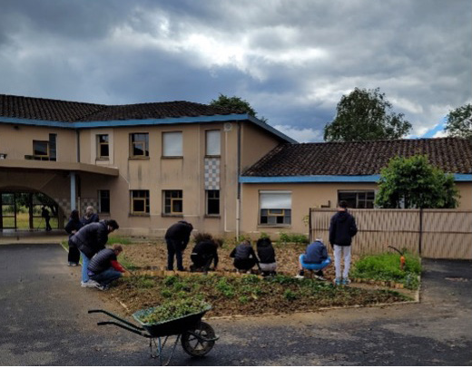 Un groupe d'élèves plantent dans la cour du lycée différentes essences : thym,menthe, fraisiers.