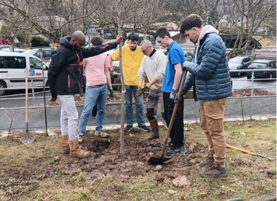 Des élèves du lycée agricole de La Canourgue plantent un arbre devant le parking de l'établissement.