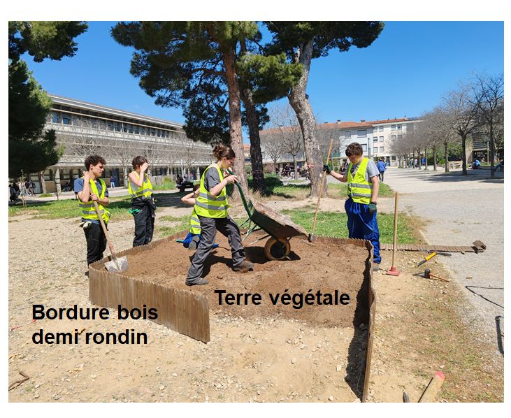 Image 1 : Cinq élèves metent en place, devant le lycée, un massif "aromates", constitué d'une bordure en bois, en demi rondin sur 40 centimètres de hauteur. de la terre végétale facilite le développement d'espèces telles que le thym, le romarin, la sauge, les lavandes... . Ils sont vétus de gillets jaune et équipés d'outils de jardinage : brouette, pelle, bêche.... 