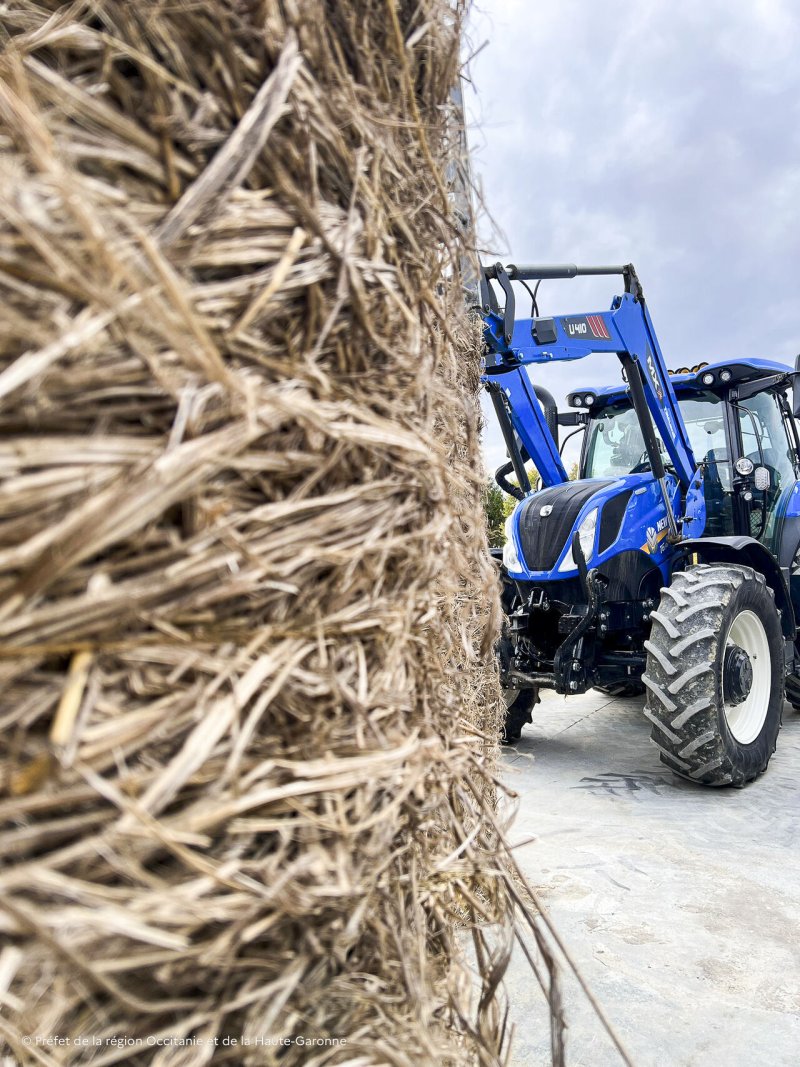 Image 6 : 1761759185902