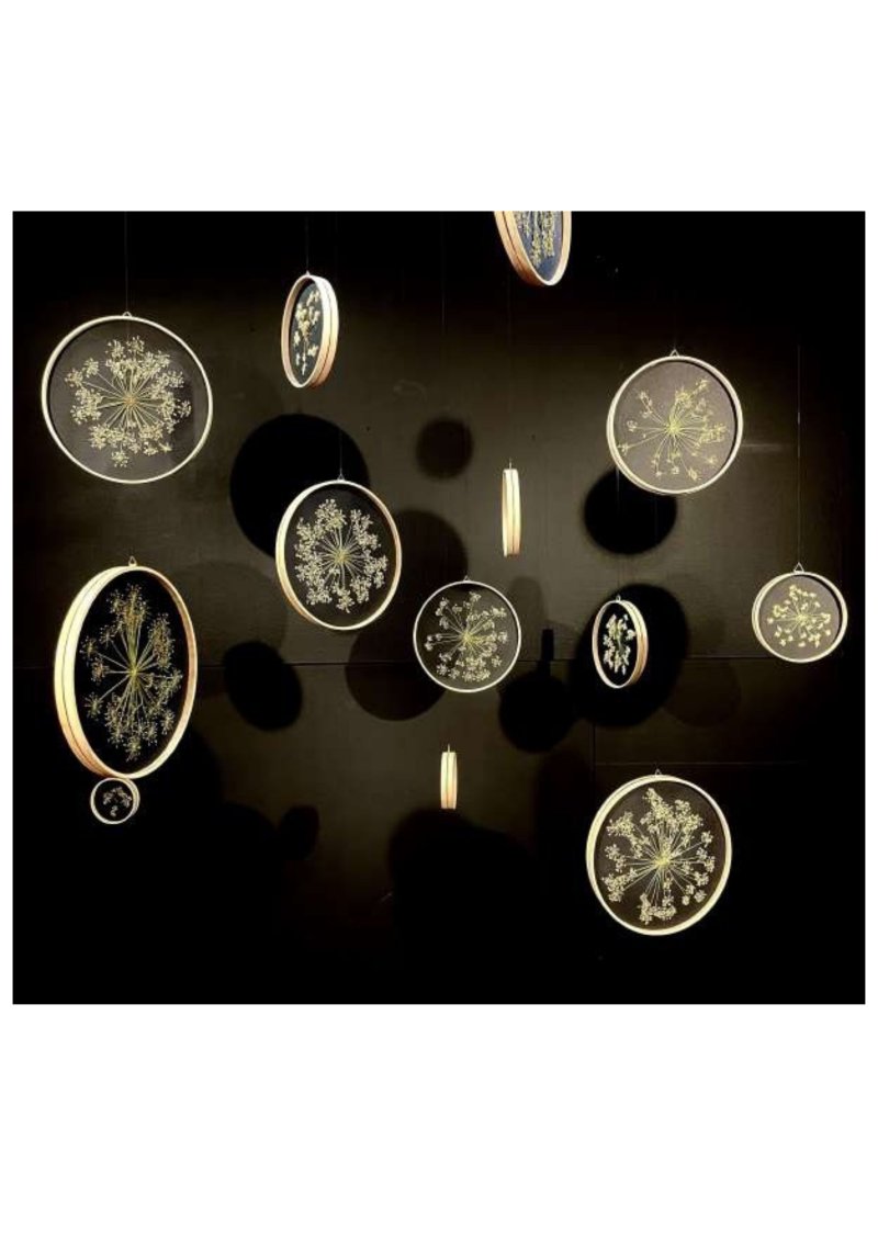 Image 2 : art vegetal ursula caruel 2