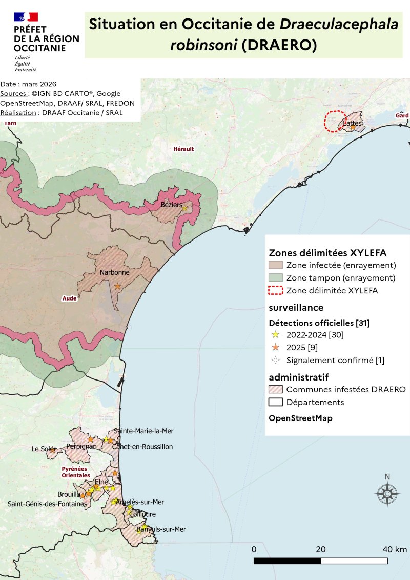 Carte de pr&eacute;sence de Draeculacephala robinsoni en Occitanie et zones d&eacute;limit&eacute;es pour Xylella fastidiosa. D&eacute;partements des Pyr&eacute;n&eacute;es-Orientales, de l'Aude et de l'H&eacute;rault.