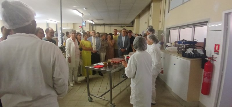 Image 5 : Visite halle agroalimentaire