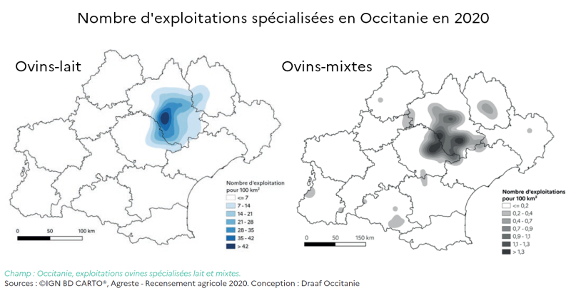 Les exploitations ovins lait ou mixtes sont principalement situées entre le sud de l'Aveyron, l'est du Tarn et l'Ouest de la Lozère. En ovins-lait on compte jusqu'à plus de 40 exploitations au 100 km². En ovins-mixte la densité est plus faible, moins de 2 exploitations pour 100 km²