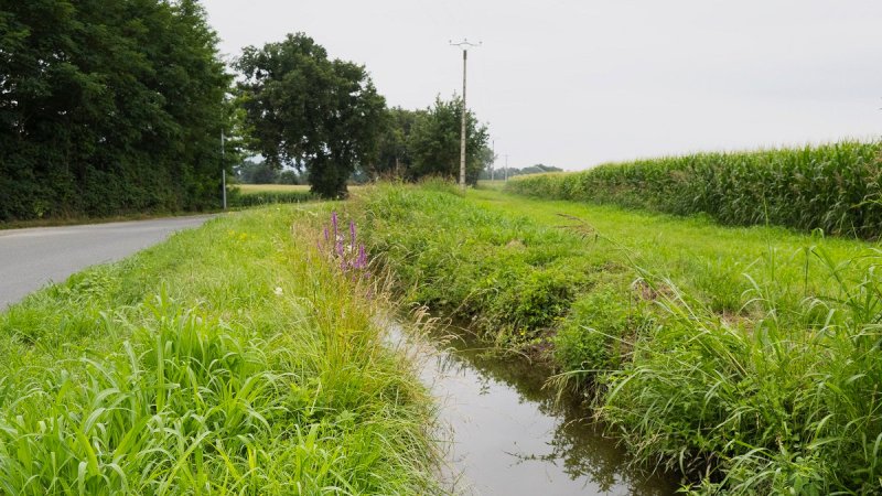 Image 1 : Canal secondaire de réinfiltration dans la nappe à Cazères (31) - Cheick Saidou / agriculture.gouv.fr