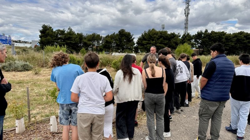 Un groupe d'élèves vus de dos sont une allée bordant une parcelle en herbe avec des cultures paysagères. Un formateur que l'on voit au fond de l'image leur explique l'aménagement paysager.