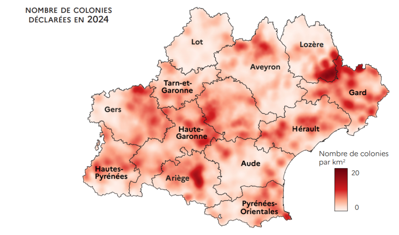 Les données de la carte lissée ne sont pas diffusables