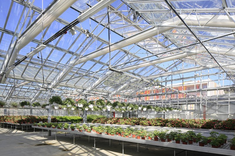 Image 5 : serre la frondaie lycee honore de balzac castelnau 31