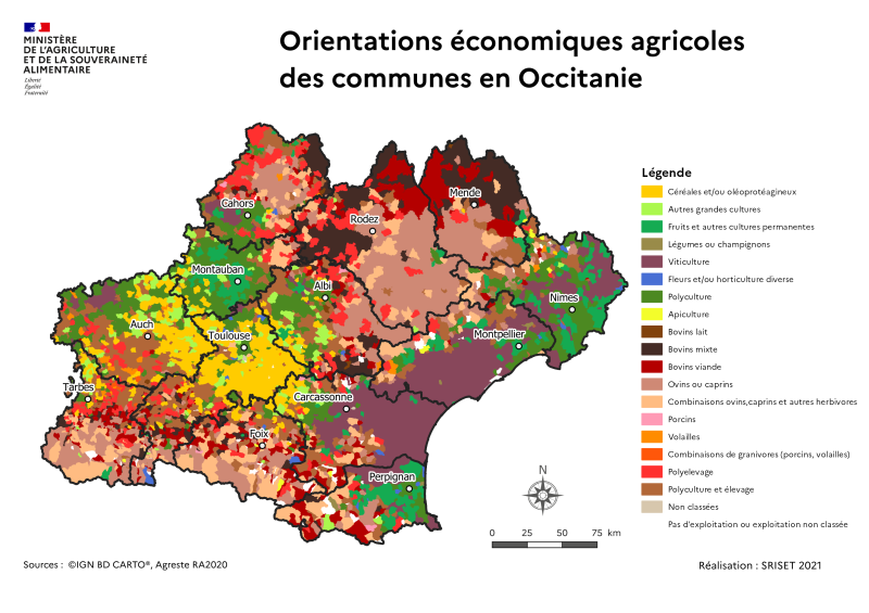 La carte des spécialisations communales montre une région occupée: 1 - par l'élévage dans les zone de montage et piemont des Pyrénées du massif central. 2 - par la viticulture dans les départements du contour méditéranéen. 3 - par les grandes cultures dans les coteaux de la Haute-Garonne et du Gers. 4 - Des zones d'arboriculture sont présentes dans le Tarn et Garonne; l'est de l'Aude et le Sud du Gard.