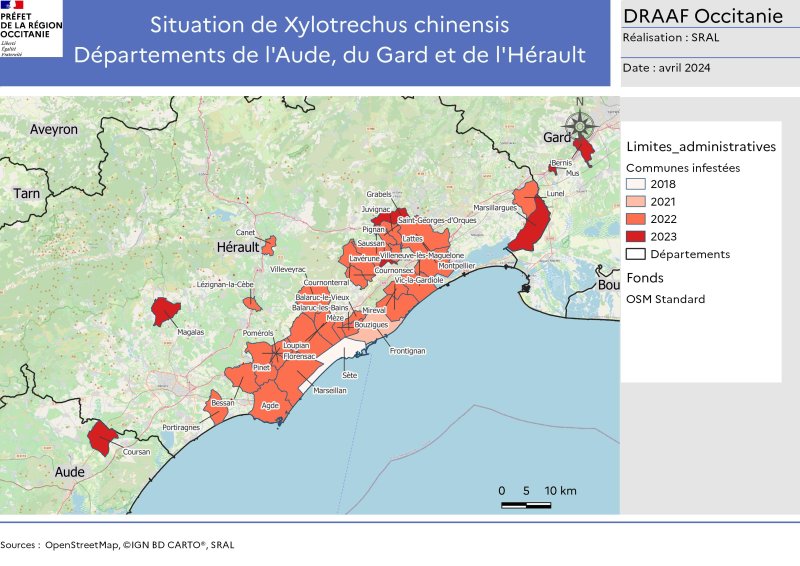 carte montrant les zones contaminées par le Xylotrechus chinensis (point de situation janvier 2024)