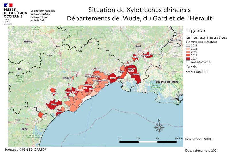 Carte présentant la répartition des communes infectées par année de 2018 à 2024. Le département de l'Hérault est le plus touché. Séte est la première commune infectée en 2018. La contamination s'étend le long des zones littorales et dans les communes limitrophes pour atteindre 36 communes infectée en 2023. En 2024, 22 nouvelles communes sont infectées de manière plus sporadique sur le territoire. La contamination s'étend à présent de Coursan dans l'Aude à l'ouest à Manduel dans le Gard à l'Est.