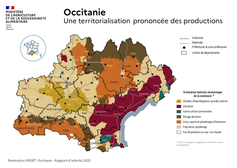 La carte simplifiée des spécialisations communales montre une région occupée: 1 - par l'élévage dans les zone de montage et piemont des Pyrénées du massif central. 2 - par la viticulture dans les départements du contour méditéranéen. 3 - par les grandes cultures dans les coteaux de la Haute-Garonne et du Gers.