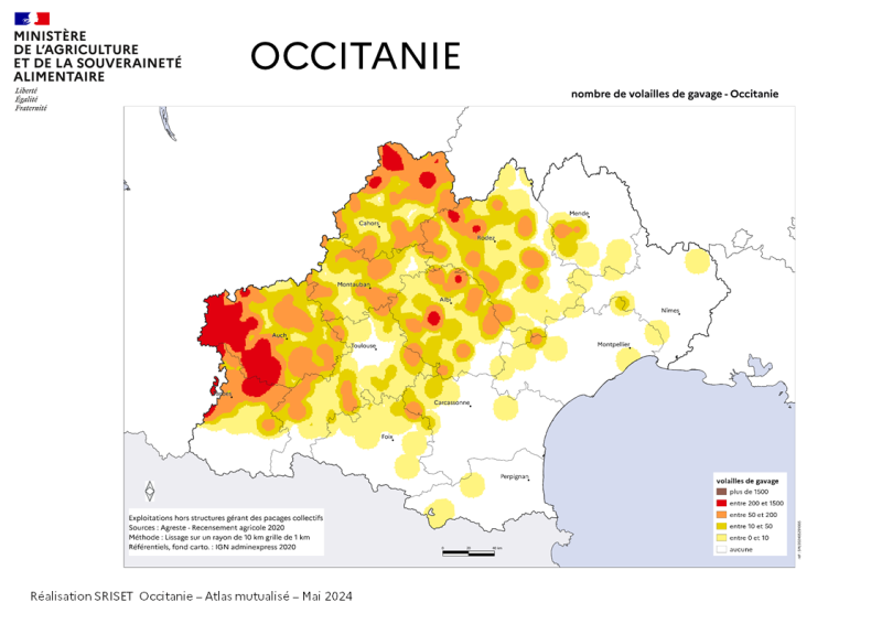 Image 6 : Nombre de volailles de gavage au km²