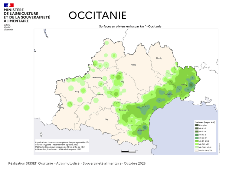 Image 7 : Surfaces en oliviers