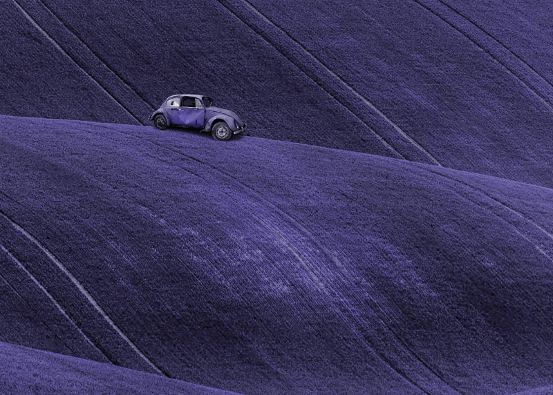 Image 6 : VW crepuscule