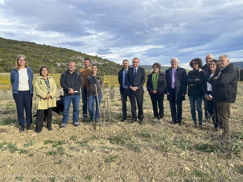 Image 2 : 1761759183708