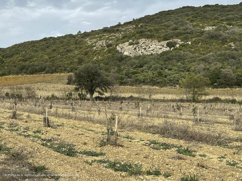 Image 5 : 1761759185625