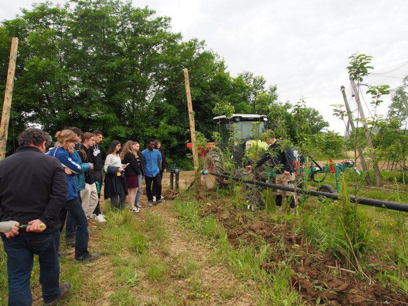 Image 1 : Groupe d'élèves observant le desherbage mécanique